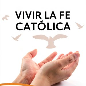 Religious Criticism eBook Océano exprés Spanish-0